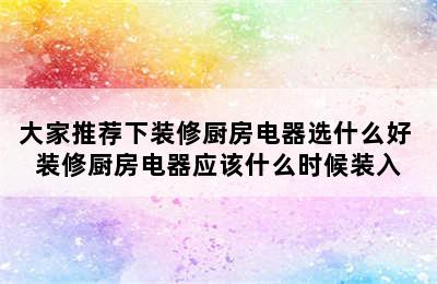 大家推荐下装修厨房电器选什么好 装修厨房电器应该什么时候装入